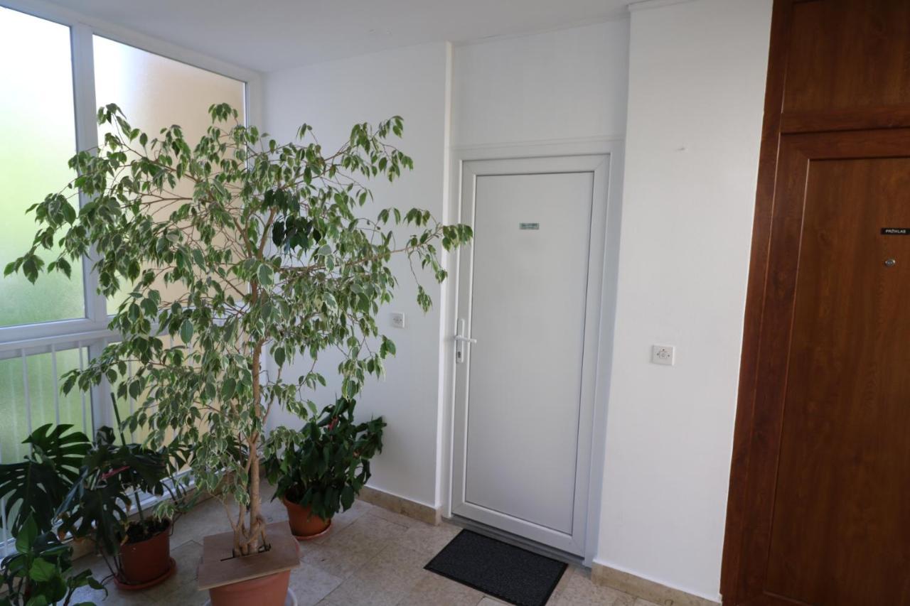 Apartament Klaudia Pula Zewnętrze zdjęcie